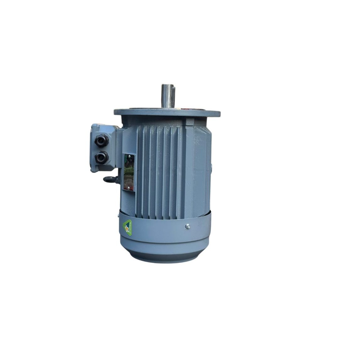 Động Cơ Điện SGP 160kW 4 Cực Mặt Bích | Ngọc Tiên
