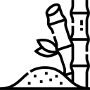 Mía - Đường